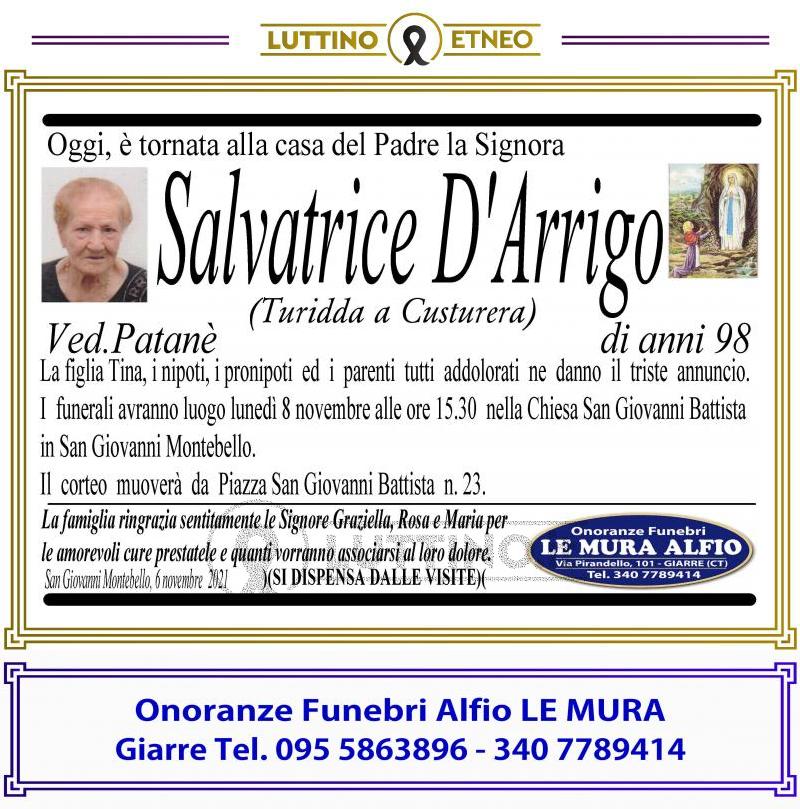 Salvatrice  D'Arrigo 